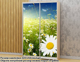 Наклейка на шафу-купе 220 х 102 см на 2 двері  Ромашки (БП_а_fl13598), фото 3