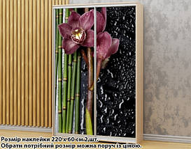 Наклейка на шафу-купе 220 х 102 см на 2 двері Орхідеї (БП_а_fl103324), фото 5