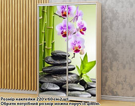 Наклейка на шафу-купе 220 х 60 см на 2 двері  Орхідеї (БП_а_fl13602), фото 2