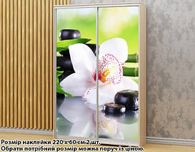 Наклейка на шафу-купе 220 х 74 см на 2 двері Орхідея біла (БП_а_fl13603), фото 2