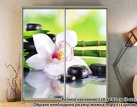 Наклейка на шафу-купе 220 х 74 см на 2 двері Орхідея біла (БП_а_fl13603), фото 5