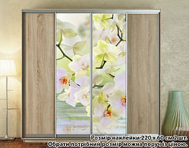 Наклейка на шафу-купе 220 х 102 см на 2 двері Орхідеї білі (БП_а_fl13605), фото 3