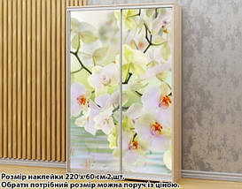 Наклейка на шафу-купе 220 х 102 см на 2 двері Орхідеї білі (БП_а_fl13605), фото 4