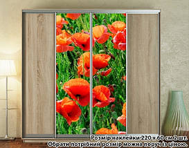 Наклейка на шафу-купе 220 х 60 см на 2 двері маки (БП_а_fl13613), фото 6