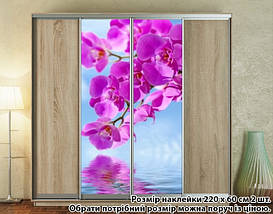 Наклейка на шафу-купе 220 х 74 см на 2 двері Орхідеї (БП_а_fl13636), фото 5