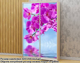 Наклейка на шафу-купе 220 х 74 см на 2 двері Орхідеї (БП_а_fl13636), фото 6