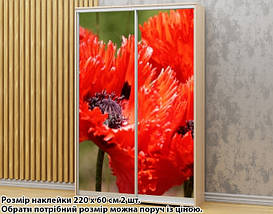 Наклейка на шафу-купе 220 х 102 см на 2 двері Маки червоні (БП_а_fl13649), фото 3