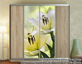 Наклейка на шафу-купе 220 х 102 см на 2 двері лілії (БП_а_mw10859), фото 3