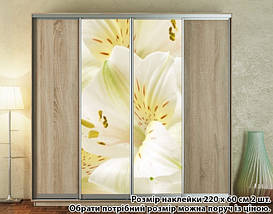 Наклейка на шафу-купе 220 х 60 см на 2 двері лілії (БП_а_fl13699), фото 2