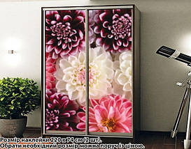 Наклейка на шафу-купе 220 х 60 см на 2 двері  квіти (БП_а_fl11341), фото 2