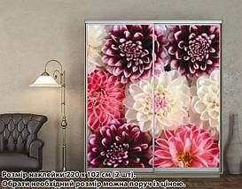 Наклейка на шафу-купе 220 х 60 см на 2 двері  квіти (БП_а_fl11341), фото 3