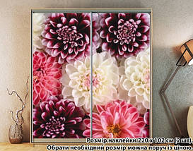 Наклейка на шафу-купе 220 х 60 см на 2 двері  квіти (БП_а_fl11341), фото 4