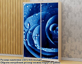 Наклейка на шафу-купе 220 х 74 см на 2 двері троянда (БП_а_fl13708), фото 3