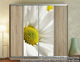 Наклейка на шафу-купе 220 х 102 см на 2 двері  Ромашки (БП_а_fl13711), фото 5