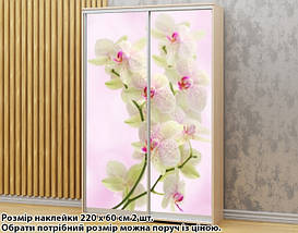 Наклейка на шафу-купе 220 х 60 см на 2 двері Білі орхідеї (БП_а_fl13725), фото 2