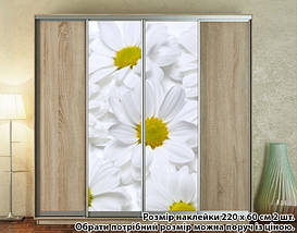 Наклейка на шафу-купе 220 х 102 см на 2 двері Ромашка (БП_а_fl13755), фото 3