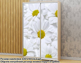 Наклейка на шафу-купе 220 х 102 см на 2 двері Ромашка (БП_а_fl13755), фото 4