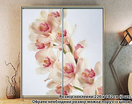 Наклейка на шафу-купе 220 х 74 см на 2 двері  Орхідеї (БП_а_fl11768), фото 3