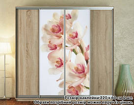 Наклейка на шафу-купе 220 х 74 см на 2 двері  Орхідеї (БП_а_fl11768), фото 4