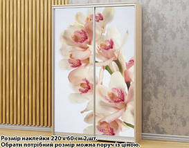 Наклейка на шафу-купе 220 х 74 см на 2 двері  Орхідеї (БП_а_fl11768), фото 5