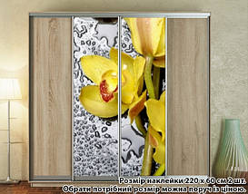 Наклейка на шафу-купе 220 х 74 см на 2 двері Орхідеї (БП_а_fl13819), фото 5