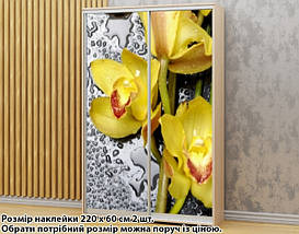 Наклейка на шафу-купе 220 х 74 см на 2 двері Орхідеї (БП_а_fl13819), фото 6