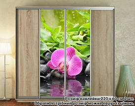 Наклейка на шафу-купе 220 х 102 см на 2 двері орхідея (БП_а_fl13854), фото 2