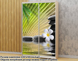 Наклейка на шафу-купе 220 х 60 см на 2 двері Плюмерія (БП_а_fl13863), фото 5