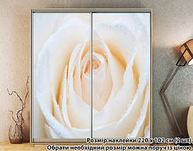 Наклейка на шафу-купе 220 х 74 см на 2 двері троянда (БП_а_fl13868), фото 3