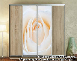 Наклейка на шафу-купе 220 х 74 см на 2 двері троянда (БП_а_fl13868), фото 4