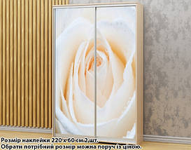 Наклейка на шафу-купе 220 х 74 см на 2 двері троянда (БП_а_fl13868), фото 5