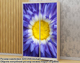 Наклейка на шафу-купе 220 х 102 см на 2 двері квіти (БП_а_pol_fl005), фото 4
