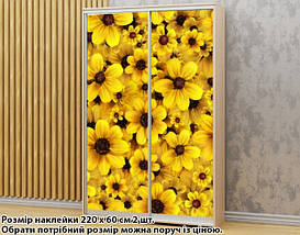Наклейка на шафу-купе 220 х 102 см на 2 двері жовті квіти (БП_а_pol_fl169), фото 5