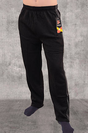 Штани чоловічі зимові спортивні з 2 смугами Штани Ao Longcom — зима (Чорний колір), фото 1