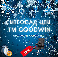 Снігопад цін ТМ Goodwin