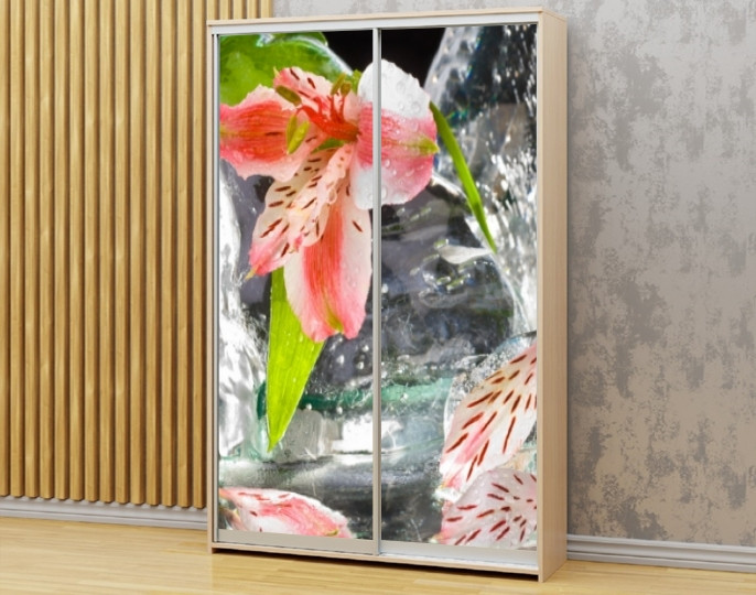 Наклейка на шафу-купе 220 х 60 см на 2 двері  квіти (БП_а_fl101475)