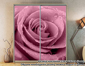 Наклейка на шафу-купе 220 х 60 см на 2 двері троянда (БП_а_fl12798), фото 4