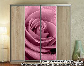 Наклейка на шафу-купе 220 х 60 см на 2 двері троянда (БП_а_fl12798), фото 5