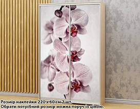 Наклейка на шафу-купе 220 х 60 см на 2 двері Орхідеї (БП_а_fl101787), фото 2