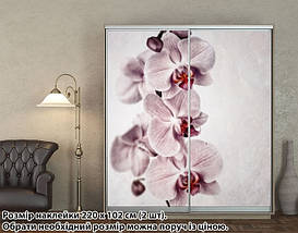 Наклейка на шафу-купе 220 х 60 см на 2 двері Орхідеї (БП_а_fl101787), фото 5
