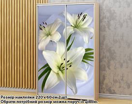 Наклейка на шафу-купе 220 х 74 см на 2 двері лілії (БП_а_fl102395), фото 6