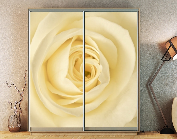 Наклейка на шафу-купе 220 х 102 см на 2 двері троянда (БП_а_fl13073)