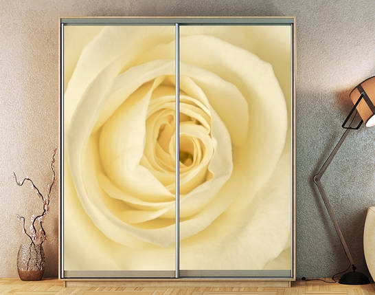 Наклейка на шафу-купе 220 х 102 см на 2 двері троянда (БП_а_fl13073), фото 1