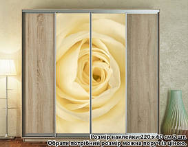 Наклейка на шафу-купе 220 х 102 см на 2 двері троянда (БП_а_fl13073), фото 2