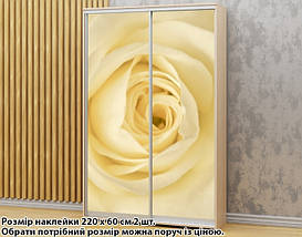 Наклейка на шафу-купе 220 х 102 см на 2 двері троянда (БП_а_fl13073), фото 3