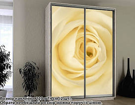 Наклейка на шафу-купе 220 х 102 см на 2 двері троянда (БП_а_fl13073), фото 4