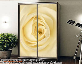 Наклейка на шафу-купе 220 х 102 см на 2 двері троянда (БП_а_fl13073), фото 5