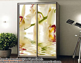 Наклейка на шафу-купе 220 х 60 см на 2 двері  Орхідеї (БП_а_fl13086), фото 4