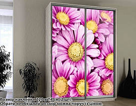 Наклейка на шафу-купе 220 х 60 см на 2 двері  Ромашки (БП_а_fl102597), фото 3