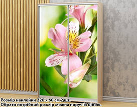 Наклейка на шафу-купе 220 х 60 см на 2 двері Лілія (БП_а_fl103000), фото 2